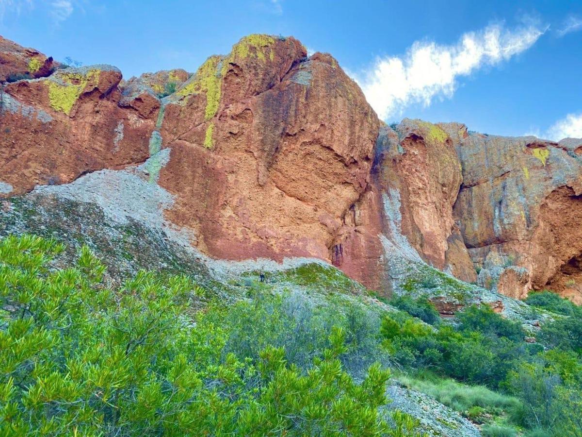 Red Mountain Ridge Karoo Oasis And Guest Farm Buffelskloof Exterior photo
